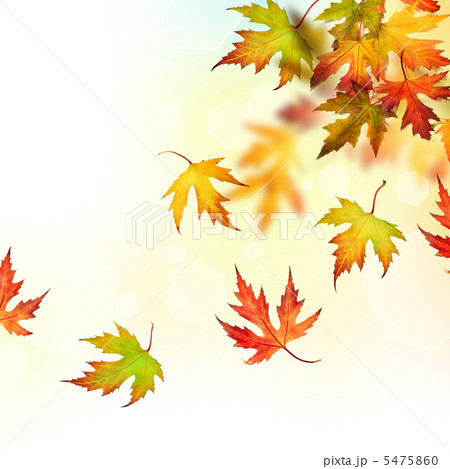 Falling Autumn Leaves 5475860