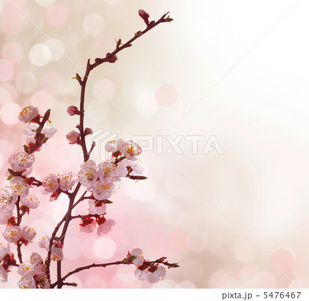 Beautiful Abstract Spring Border 5476467