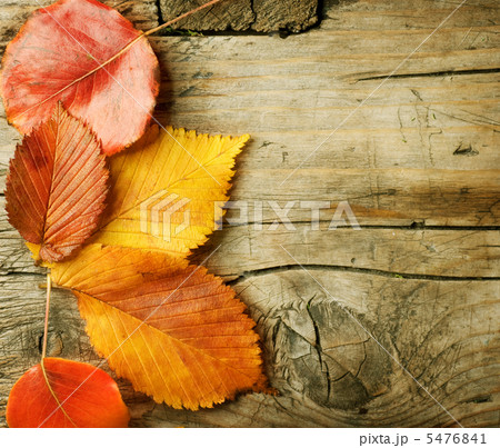 Autumn Leaves over wooden background. With copy space Autumn Leaves over wooden background. With copy space 5476841