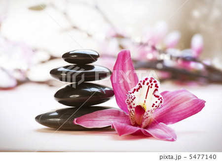 Spa Stones and orchid flower 5477140