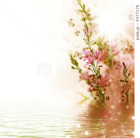 Beautiful Floral Border Beautiful Floral Border 5477276