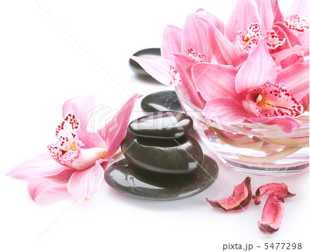 Spa Stone Massage 5477298