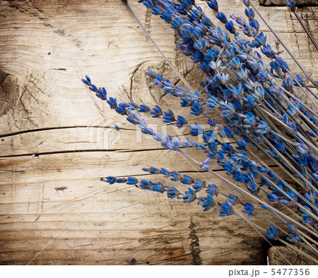 Lavender over wood background. With copy-space 5477356