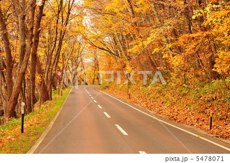 紅葉の道路 5478071