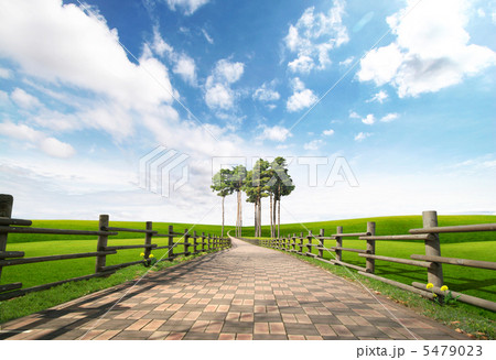 artplus_4306 5479023