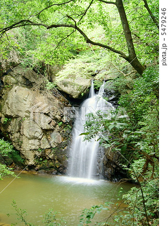 岐阜県　竜吟の滝（二の滝）　The Ryugin Falls in Gifu Prf. 5479246
