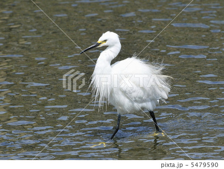 気分一新 5479590