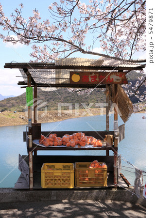 春、四国霊場第73番札所「出釈迦寺」門前の良心市 5479871