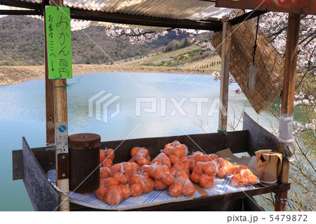 春、四国霊場第73番札所「出釈迦寺」門前の良心市 5479872