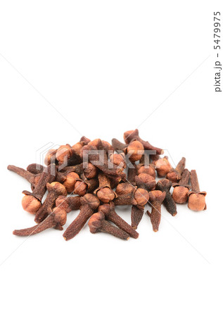 クローブ 5479975