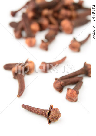 クローブ 5479982