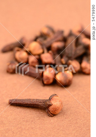 クローブ クローブ 5479990