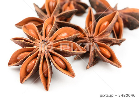 スターアニスの写真素材 [5480046] PIXTA