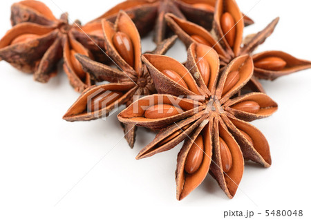 スターアニス スターアニス 5480048