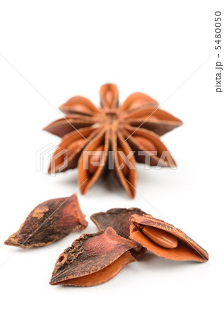 スターアニス 5480050