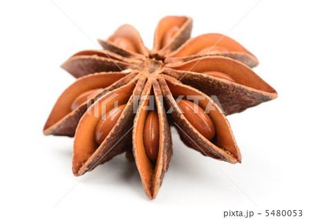 スターアニス 5480053