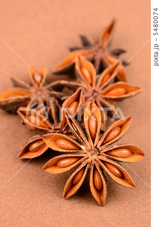 スターアニス 5480074