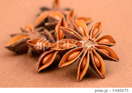 スターアニス 5480075