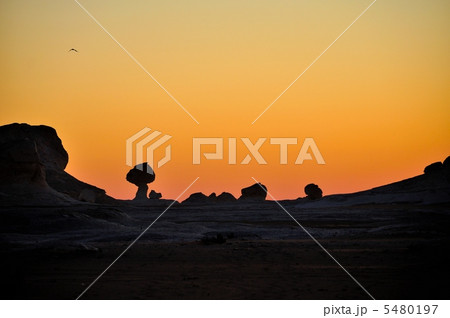 白砂漠　エジプト 5480197