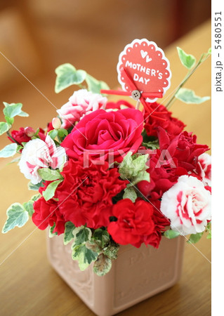 花 花 5480551