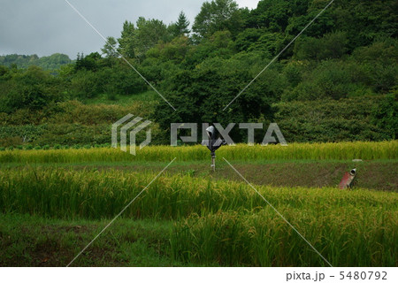 見守る人 5480792