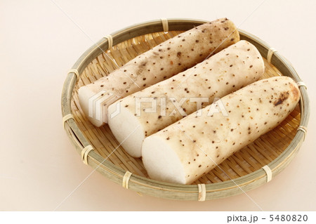 長いも 長いも 5480820