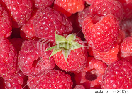 ラズベリー 5480852