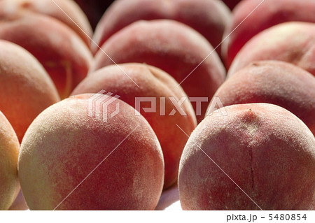 白桃 白桃 5480854