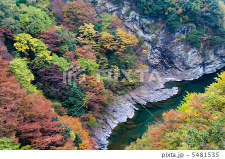 紅葉の三峰渓谷 紅葉の三峰渓谷 5481535