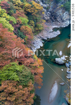 紅葉の三峰渓谷 5481536