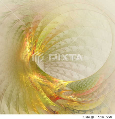 SHELL - 貝 - SHELL - 貝 - 5481550