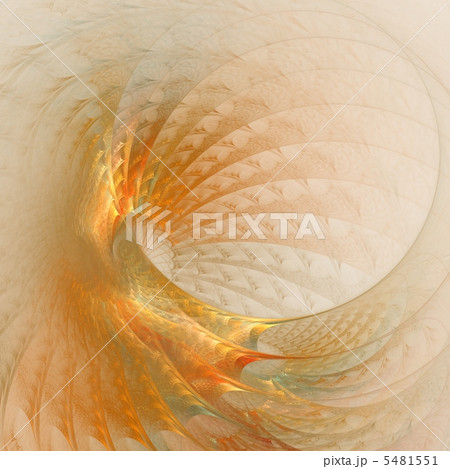 SHELL　- 貝 - 5481551