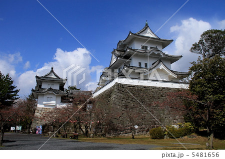 伊賀上野城・天守3 5481656