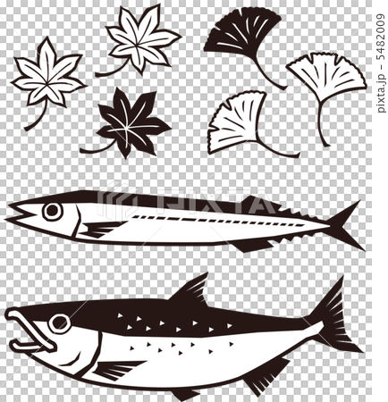 秋の味覚 秋刀魚 鮭 秋の味覚 秋刀魚 鮭 5482009