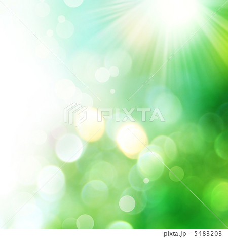 Beautiful Nature Bokeh 5483203