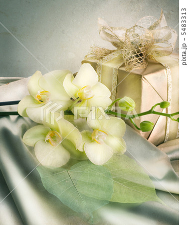 St.Valentine's Or Bridal Gift St.Valentine's Or Bridal Gift 5483313