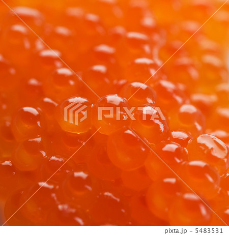 Caviar Background Caviar Background 5483531
