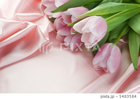 Beautiful Tulips And Silk. With Copy Space 5483584