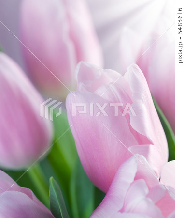 Spring Spring 5483616