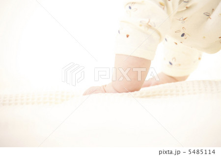 赤ちゃんの手 赤ちゃんの手 5485114