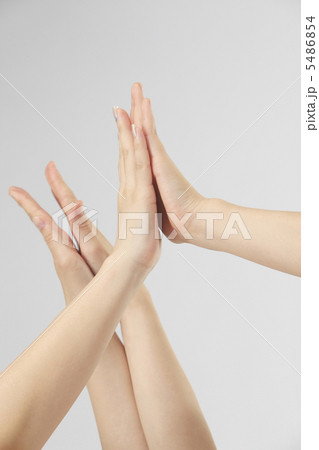 ハイタッチ 5486854