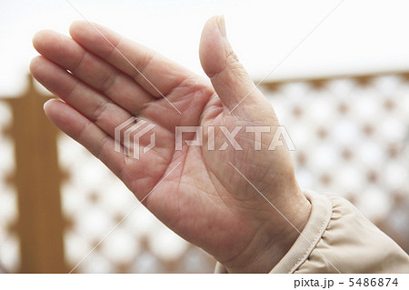 老人の手 5486874