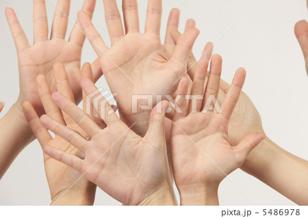 女性の手 5486978