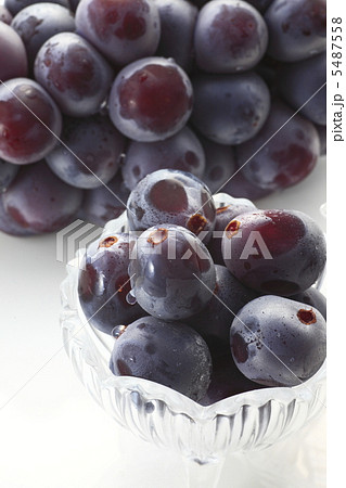 ピオーネ 5487558