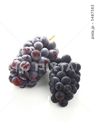 ピオーネと巨峰 ピオーネと巨峰 5487563