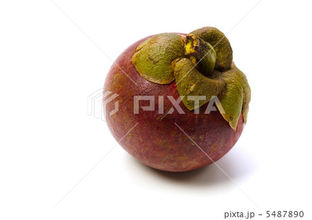 マンゴスチン 5487890