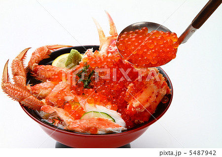 カニイクラ丼 5487942
