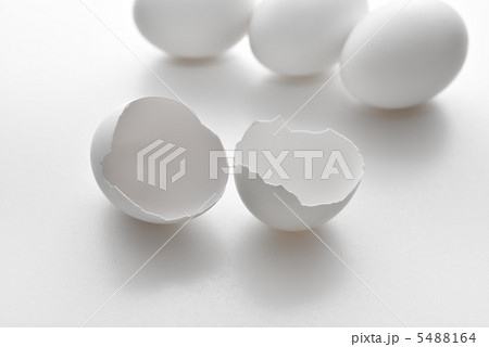 卵の殻 5488164