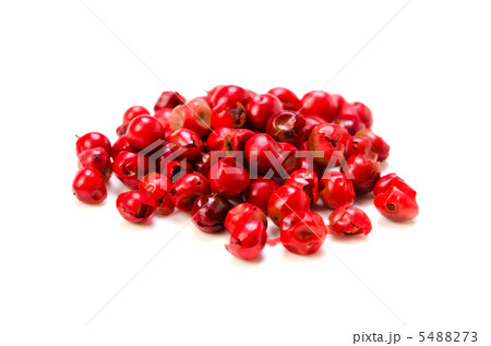 ピンクペッパー ピンクペッパー 5488273