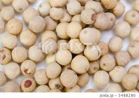 白コショウ 5488280